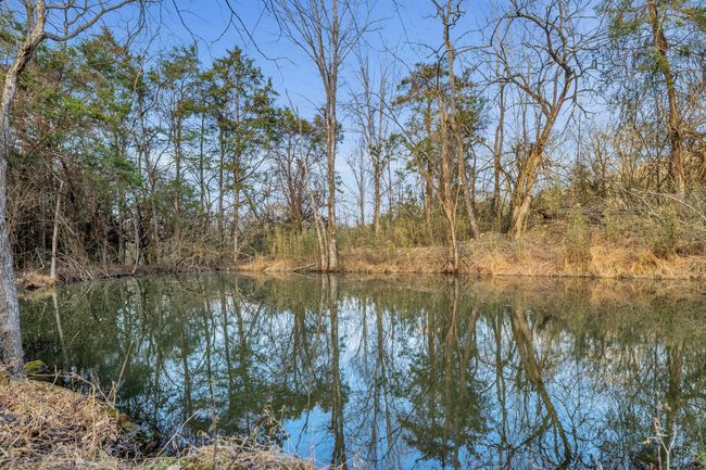 0 Fishing Ford Rd, Home with 0 bedrooms, 0 bathrooms and null parking in Belfast TN | Image 39