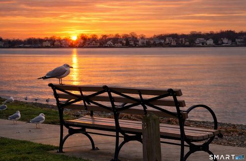 apt-46-24 Woodward Ave, New Haven, CT, 06512-3636 | Card Image