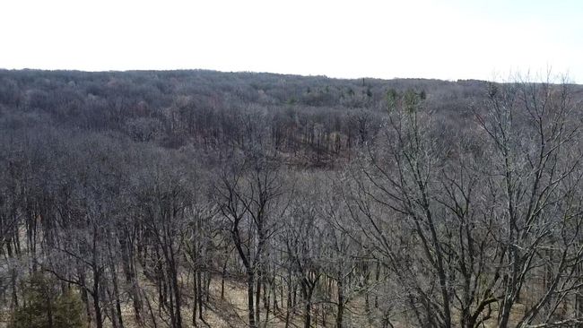 12100 Woodland Trl, Home with 0 bedrooms, 0 bathrooms and null parking in Davisburg MI | Image 17
