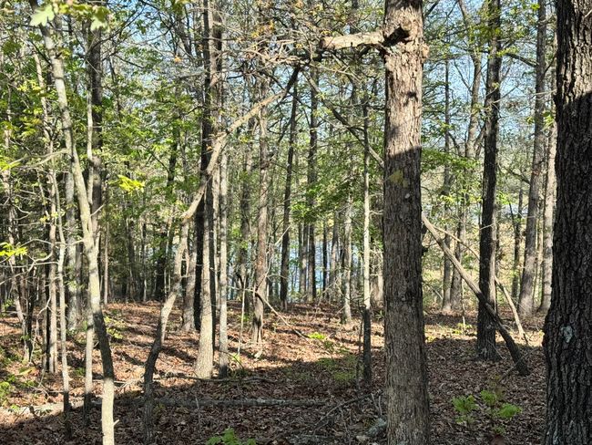 Lake view from cabin | Image 13