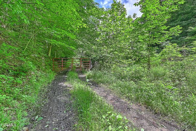 000 Goode Hollow Rd, Home with 0 bedrooms, 0 bathrooms and null parking in Duffield VA | Image 16