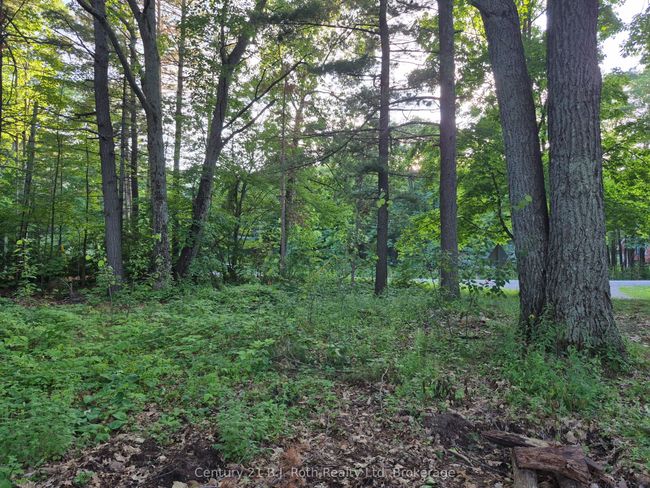1379 Champlain Rd, Home with 0 bedrooms, 0 bathrooms and null parking in Tiny ON | Image 7