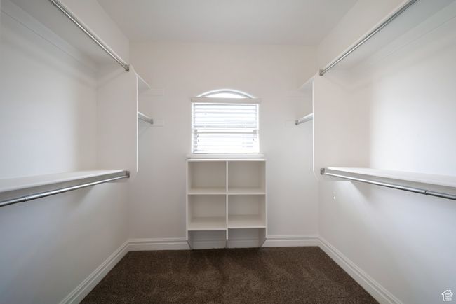 Primary Walk in closet with carpet | Image 19