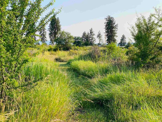View of nature | Image 33