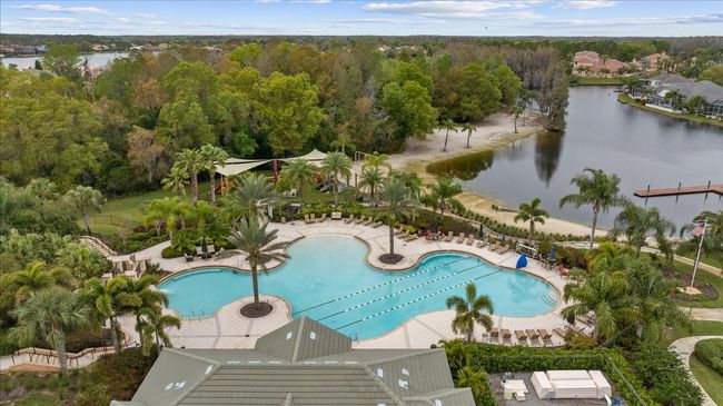 10880 Cory Lake Dr, House other with 3 bedrooms, 2 bathrooms and null parking in TAMPA FL | Image 57