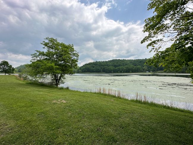 14224 Mud Fork Road, Home with 0 bedrooms, 0 bathrooms and null parking in Falls Mills VA | Image 14