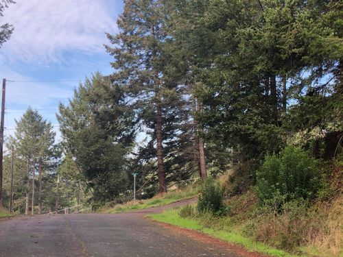 27 Buckhorn Ct, Whitethorn, CA, 95589-9130 | Card Image