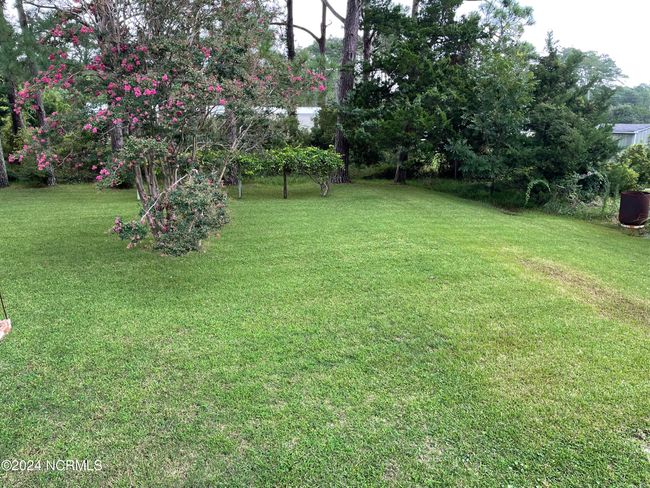 Back Yard | Image 12