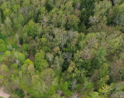 575 Greystone Dr, Richmond, VT, 05477-7751 | Card Image