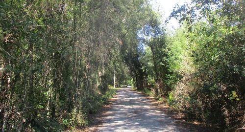 9687 Sunderson Road, Orlando, FL, 32825 | Card Image