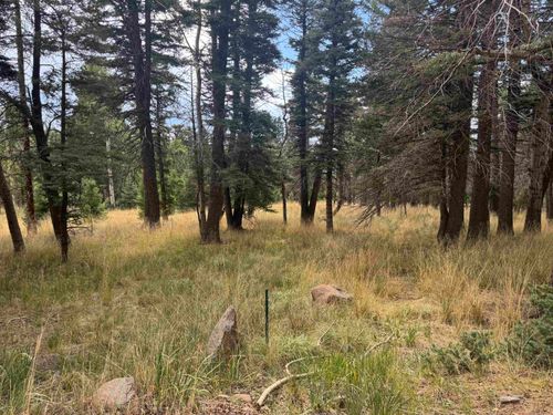 Lot 1319 Pleasant Valley Overlook, Angel Fire, NM, 87710 | Card Image