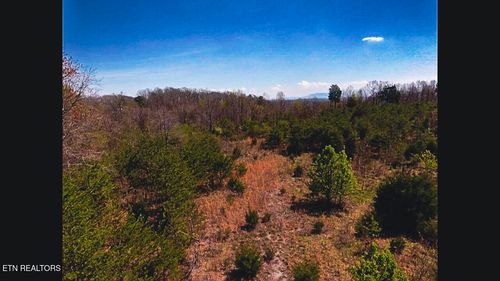 317 Mountain View Dr, Vonore, TN, 37885-2609 | Card Image