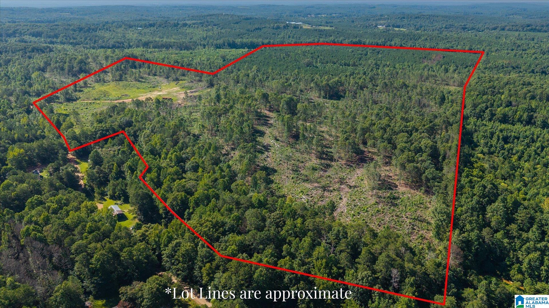 Land in HEFLIN 2