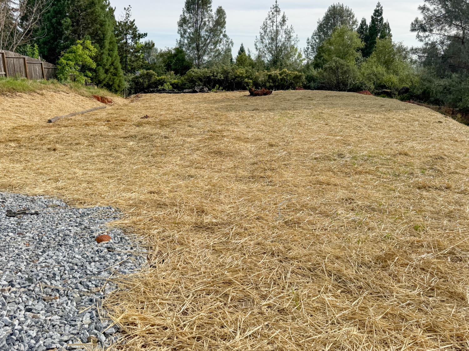 Land in Cameron Park 2