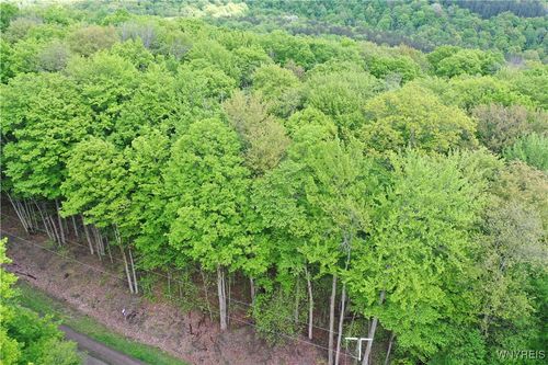 0 Dublin Terrace Rd, Salamanca, NY, 14779 | Card Image