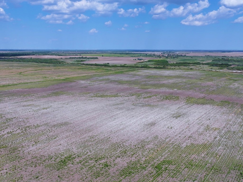 Land in Kingsville 3