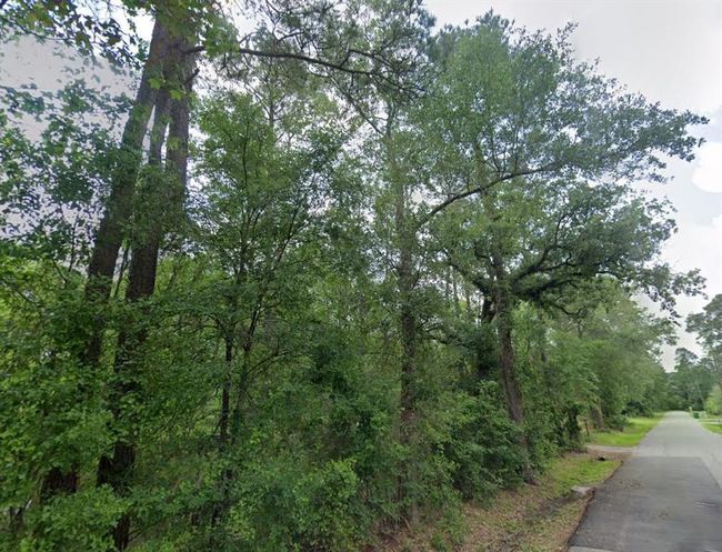 0 N Fm 3083 Rd W, Home with 0 bedrooms, 0 bathrooms and null parking in Conroe TX | Image 13