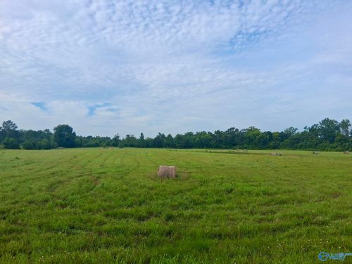 11 acres Columbus City Rd, Grant, AL, 35747-9551 | Card Image