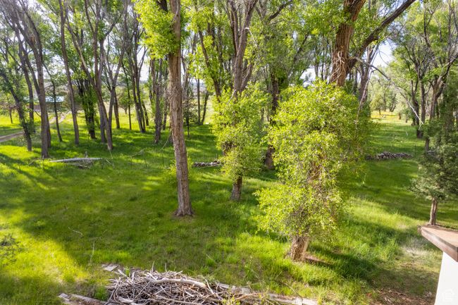 View of yard | Image 34