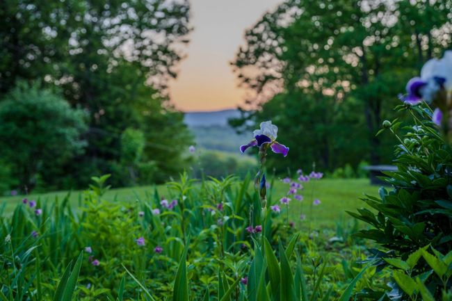 104 Juniper Ridge Rd, House other with 3 bedrooms, 4 bathrooms and null parking in Brattleboro VT | Image 53