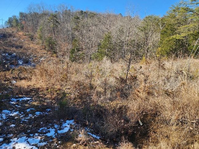 0 Raymond Dr, Home with 0 bedrooms, 0 bathrooms and null parking in Burnside KY | Image 5