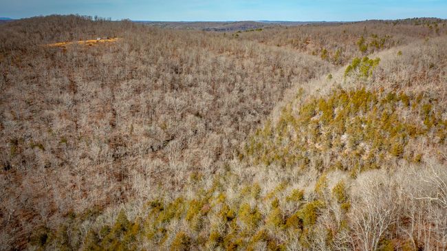 00 Bear Skin Dr, Home with 0 bedrooms, 0 bathrooms and null parking in Harriet AR | Image 30