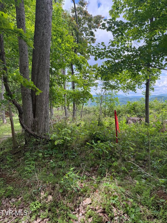 00 Heavens View Ln, Home with 0 bedrooms, 0 bathrooms and null parking in Gate City VA | Image 5