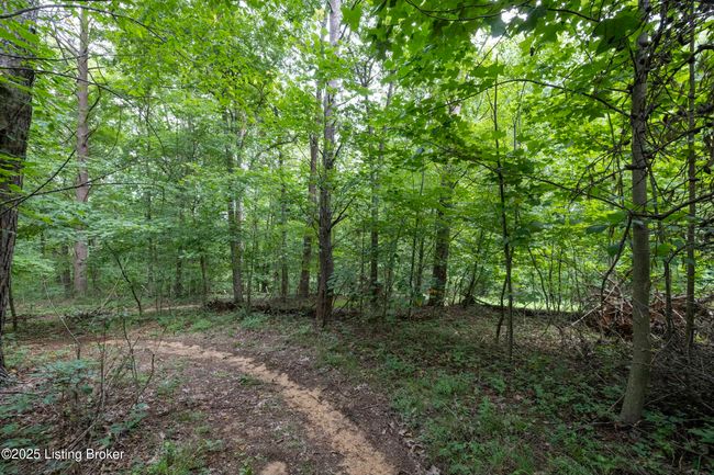 7 Vanmeter Cemetery Rd, Home with 0 bedrooms, 0 bathrooms and null parking in Bee Spring KY | Image 28