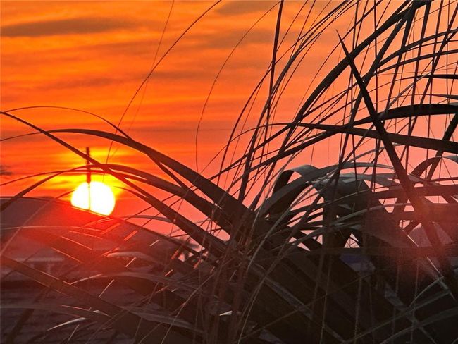 Sunsets are beautiful | Image 39