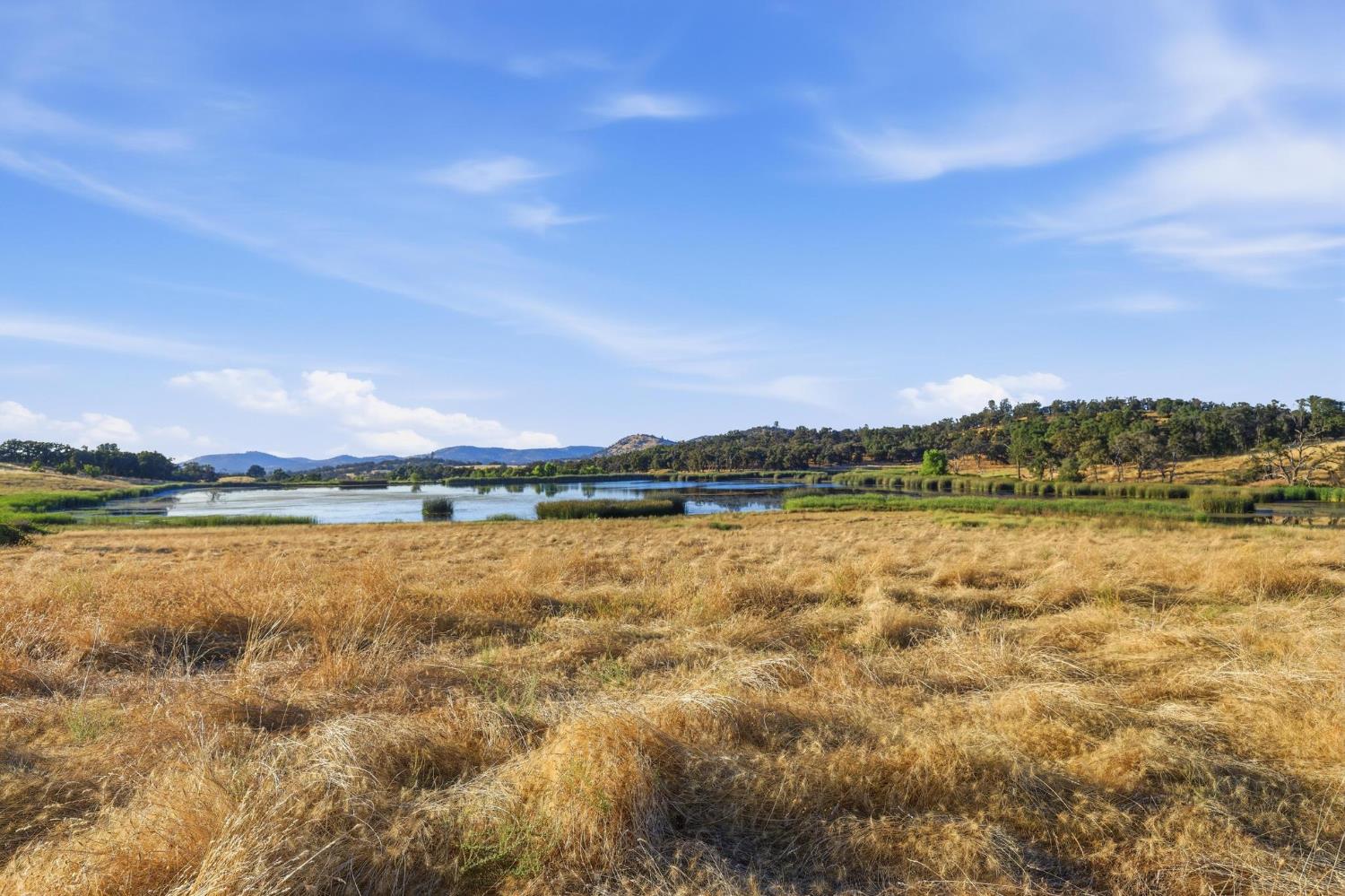 Land in Grass Valley 4