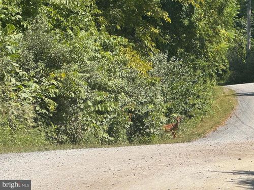 75 E Mountain Rd, MC VEYTOWN, PA, 17051-7638 | Card Image