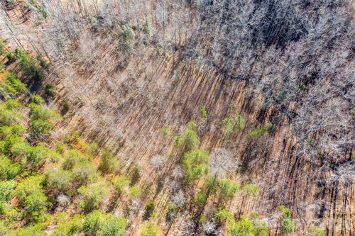 12-0 Riding Ring Dr, Ellenboro, NC, 28040 | Card Image