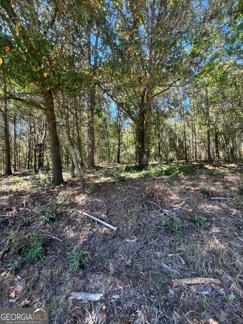 0 N Fairview Farms Rd, Lavonia, GA, 30553 | Card Image