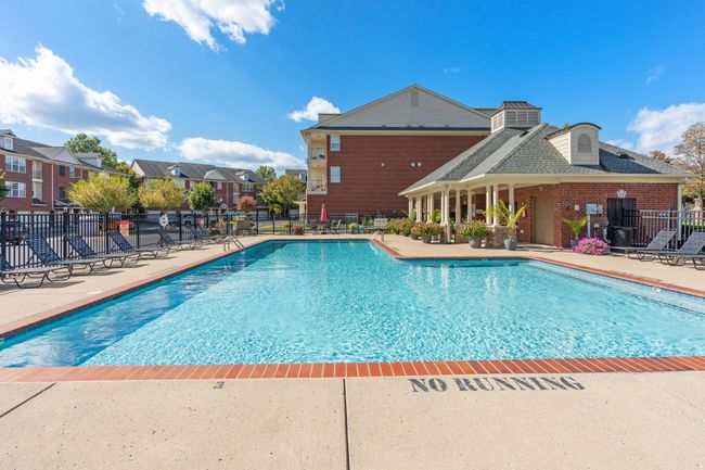 Enjoy Lounging by the Pool this Summer | Image 29