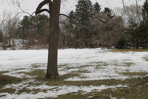 V/L Glenview Drive, Paw Paw, MI, 49079 | Card Image