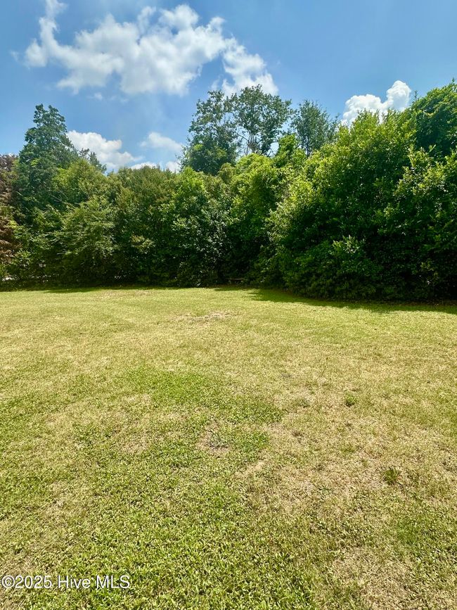 109 Conway Rd, House other with 3 bedrooms, 2 bathrooms and null parking in Fair Bluff NC | Image 14