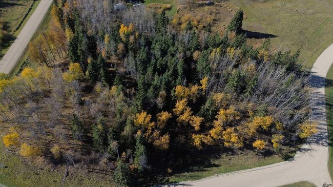 4 - 15015 Township Road 424, Home with 0 bedrooms, 0 bathrooms and null parking in Bashaw AB | Image 7