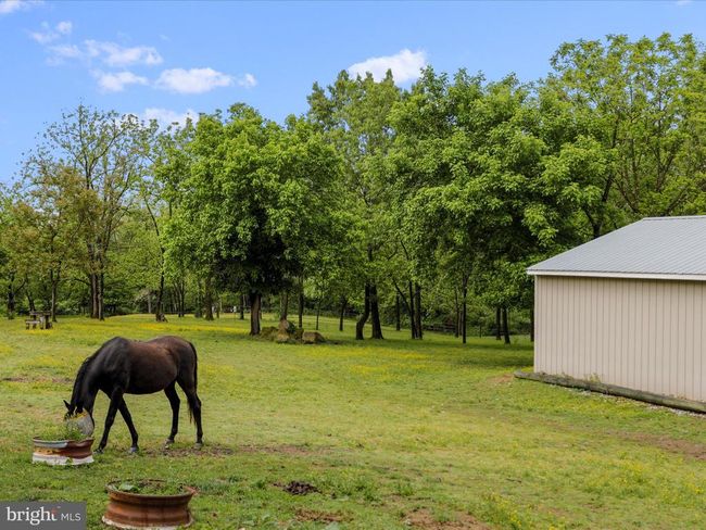 10209 National Pike, Home with 3 bedrooms, 4 bathrooms and null parking in BIG POOL MD | Image 51