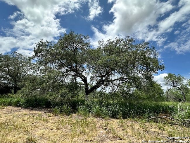7527 N State Highway 16, Home with 3 bedrooms, 2 bathrooms and null parking in Poteet TX | Image 8