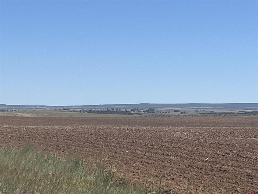 Land in Dove Creek 4