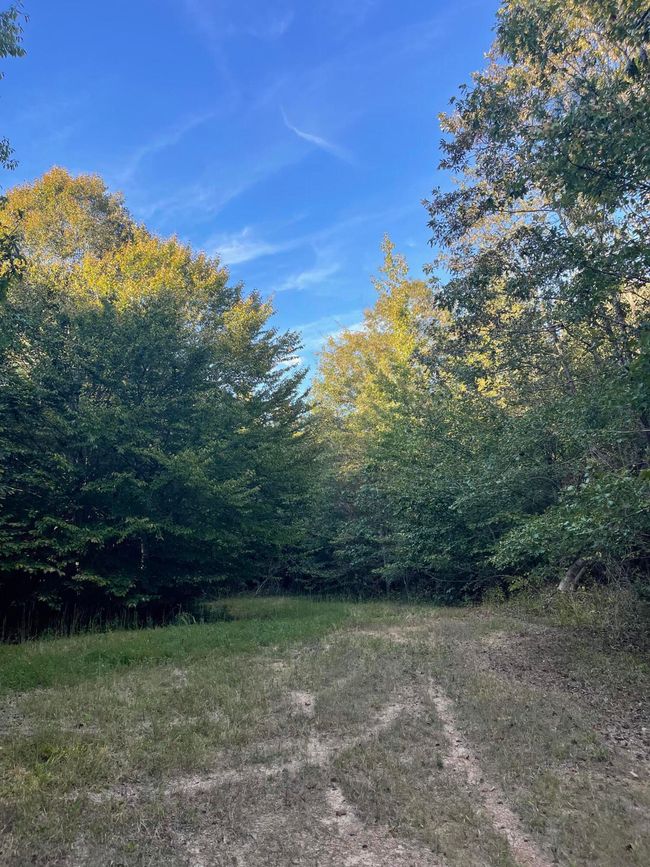 450 County Road 28, House other with 4 bedrooms, 3 bathrooms and null parking in Calhoun TN | Image 120