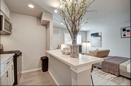 apt-17-1903 Commonwealth St, Houston, TX, 77006-1866 | Card Image