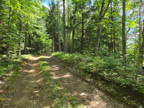 Lot 8 East Andover Road, Andover, ME, 04216 | Card Image