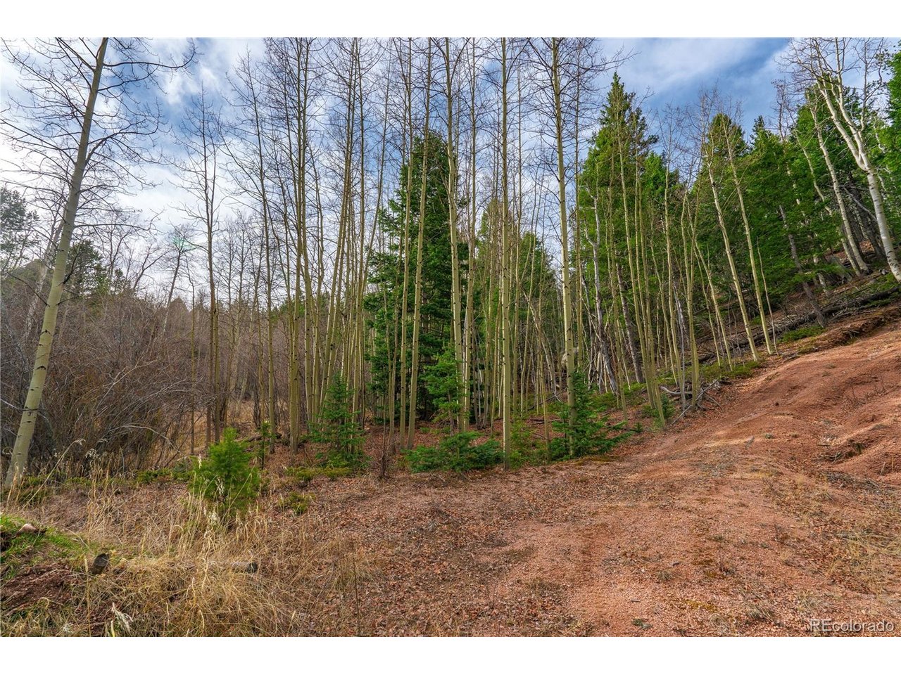 Land in Cripple Creek 4