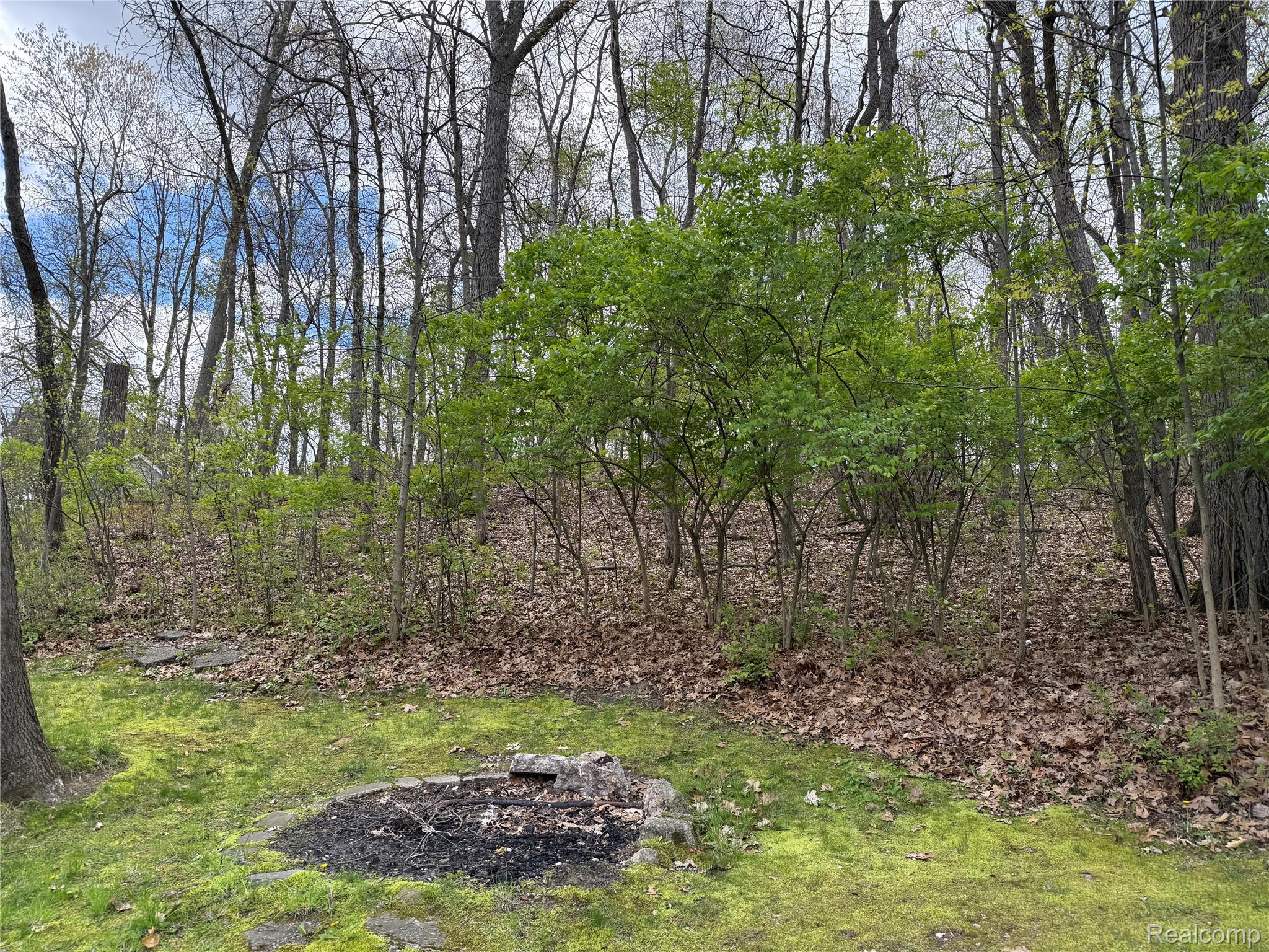 Land in Tyrone Township 5