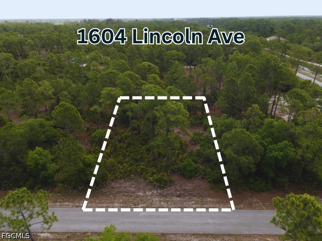 Land in Lehigh Acres