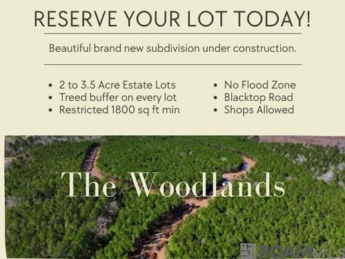 Lot 18 Honey Grove, Livingston, LA, 70754 | Card Image