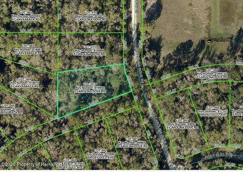 Lot 12 Carolina Dove Rd, Brooksville, FL, 34614 | Card Image