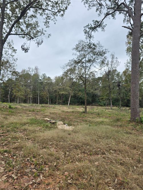 1006 S Houston Ave, Livingston, TX, 77351-3535 | Card Image