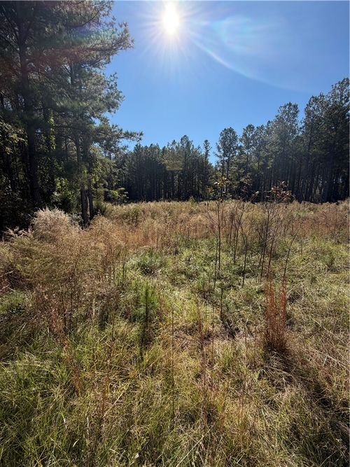 31 Waterside Pt, Abbeville, SC, 29620-3274 | Card Image